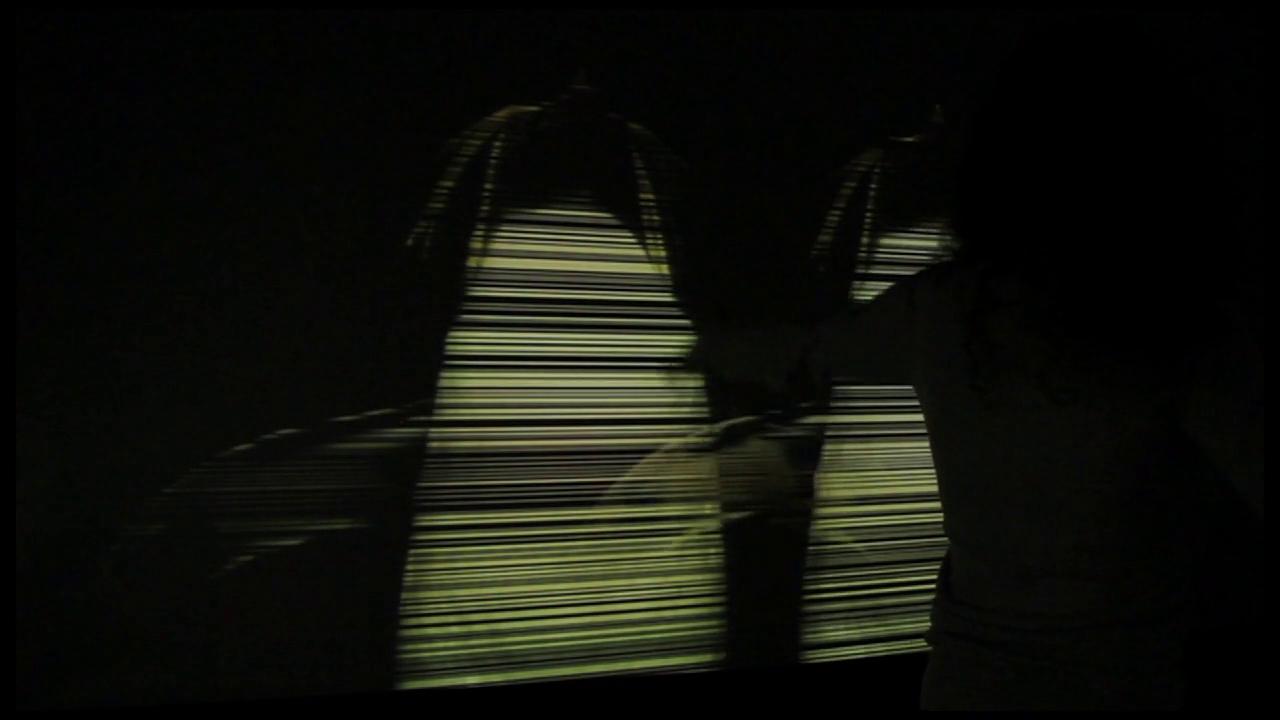 Responsive Ecologies